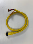 Woodhead Connectivity Female Cable 105000A01F030