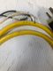 Test Cord Daniel Woodhead Brad Harrison 3 Wire E31793 Hubbell Plug HBL5266C 70"