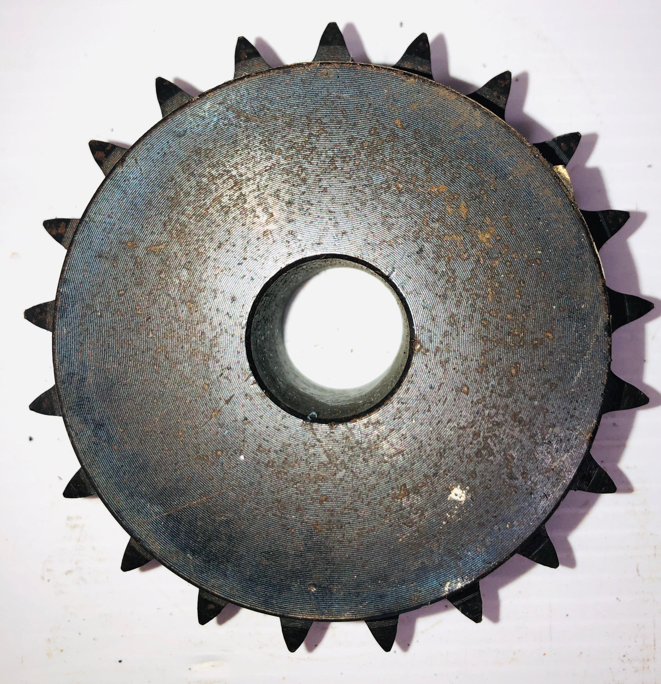Martin Double Row Sprocket D50B21H