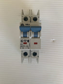 Allen-Bradley 1489-A2D100 Circuit Breaker 2-Pole 10A