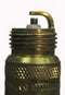 Champion Truck Spark Plug 4011 (1 Pack)