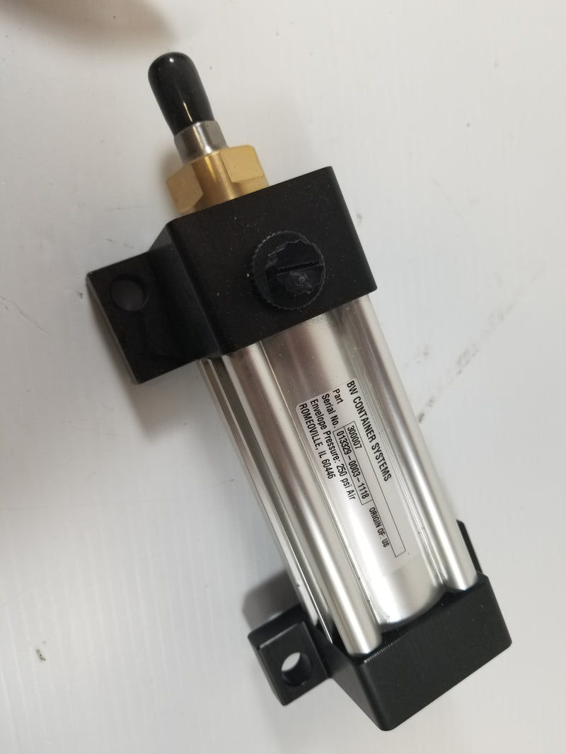 BW Container 300007 Pneumatic Cylinder 250PSI
